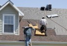 Eustonskylights-2.jpg; ?>